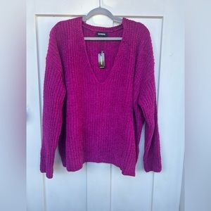 Never Worn Express V-Neck Sweater